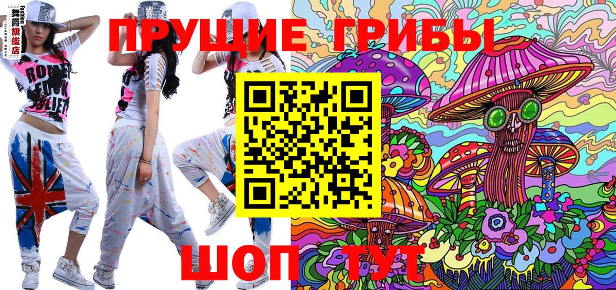 Псилоцибиновые грибы Cubensis  Улан-Удэ 