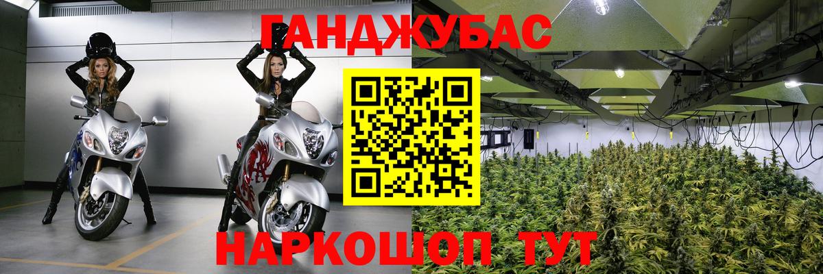 Канабис гибрид Улан-Удэ